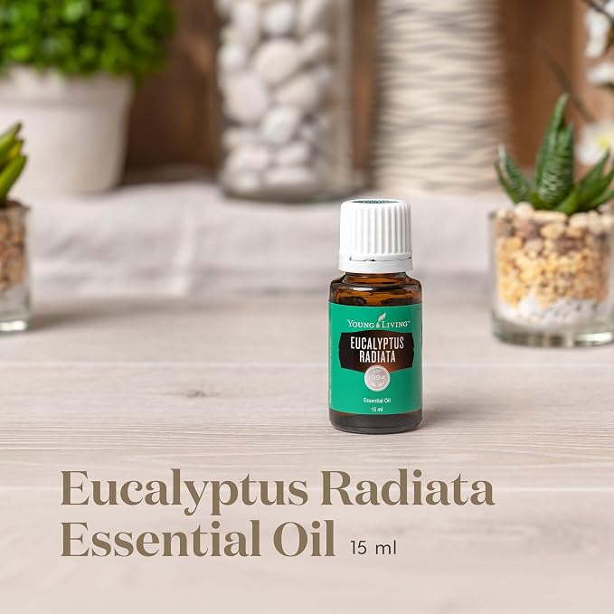 Young Living Eucalyptus Radiata Essential Oil - 15 ml - Breathe Easy with Refreshing Aroma - Ideal for Relaxing Bedtime Routine and Head, Neck, Chest Application