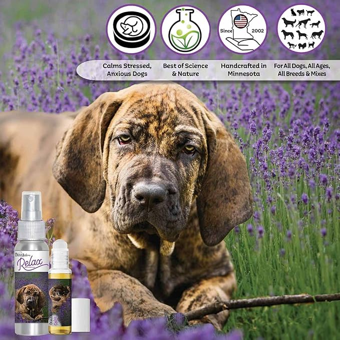The Blissful Dog Fila Brasileiro Relax Dog Aromatherapy Spray for Your Dog's Anxiety