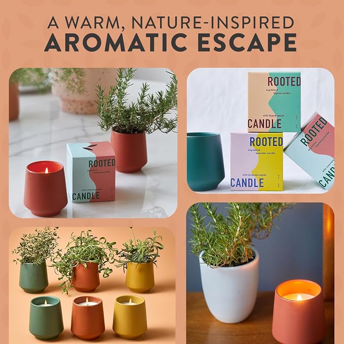 Modern Sprout Soy Candle Planter - Grows Rosemary - Cucumber Scent - 2-Pack | 2 in 1 - Soy Candles -6 oz w/42-hr burn each - cucumber scent - ceramic vessel reuses as a planter for non-GMO rosemary seeds