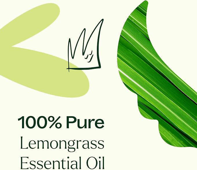 Plant Therapy Lemongrass Essential Oil, 30 mL (1 oz), 100% Pure, Undiluted Essential Oil, Great for Deodorizing the Air and Supporting Immune System