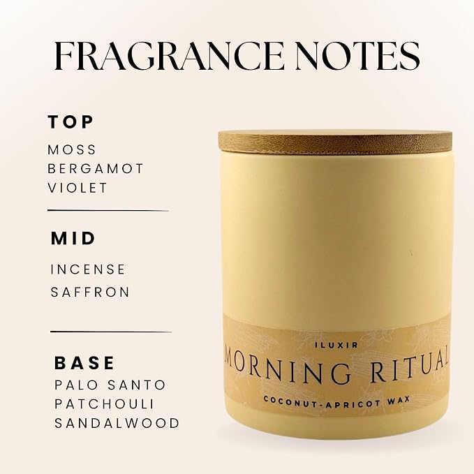 Palo Santo & Sandalwood Scented Candle,13 Oz Coconut Apricot Wax, Aromatherapy Candle for Yoga, Meditation & Morning Ritual, Non-Toxic Phthalate-Free, Vegan, Clean Burn- Perfect for Luxury Gift