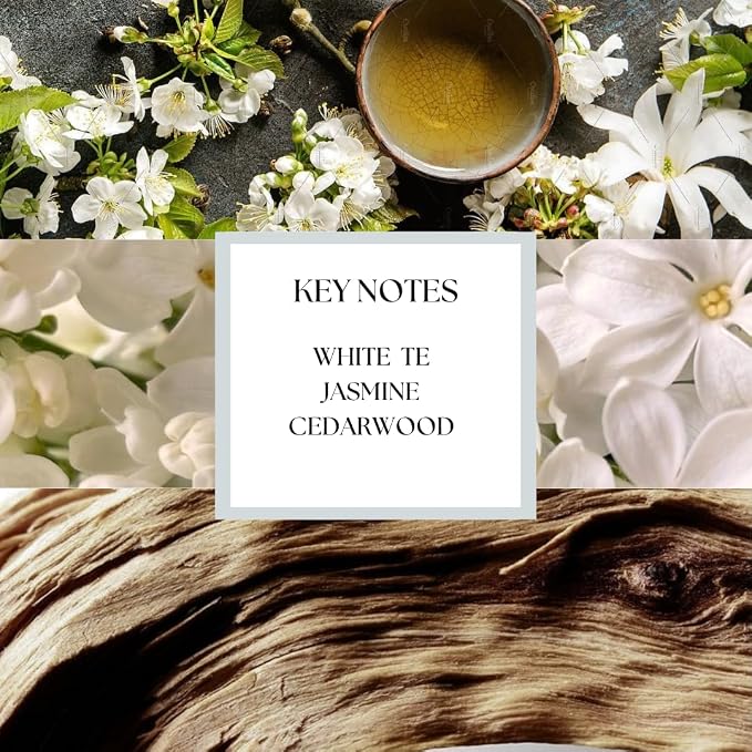 Hotel Inspired Home Perfume Collection -Sanctuary Spa– Premium Essential Oil Blend (15mL/0.5 fl Oz) Aroma with White Tea, Jasmine & Cedarwood| Long-Lasting, Dropper for Diffuser | Made in USA