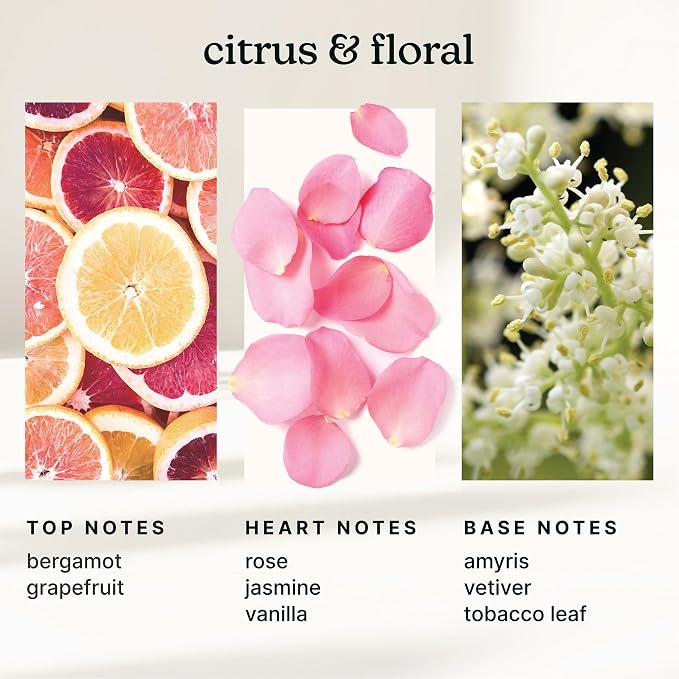 Homedics SereneScent Waterless Diffuser Oil Refill — Enchantment (120ml). Clean, Warm & Sensual Home Fragrance. Compatible with SereneScent Diffusers. Easy Twist Plug & Play