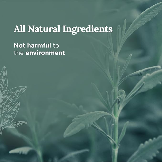 Magnificent 101 Long Lasting Sage + Eucalyptus Scented Smudge Candle - 6 Oz - 35 Hour Burn - Made of Soy Wax for Energy Cleansing & Manifestation - Fortify Life's Uncertain Path - Soy Candles