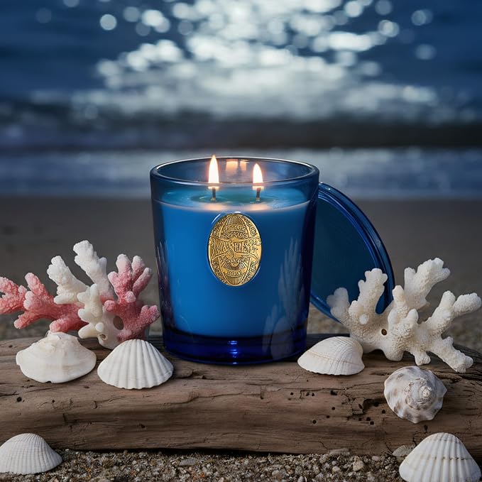 M&SENSE Large Two-Wick Summer Soy Candle | Ocean Dream & Blule | 19.8 oz, 120H Burn Time | Luxury Scented Candle for Relaxation, Gifting, Home Décor | Ideal for Bedroom, Office, Party Ambiance