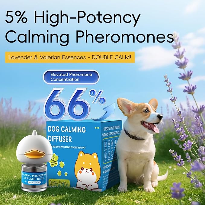 PRO! Dog Calming Diffuser – Pheromone Plug-in for Anxiety Relief, Stop Dog Peeing in House & Barking – Calming Device with Essential Oils, Compatible with Therapet MD, 30-Day Refill | 30-Day Refill