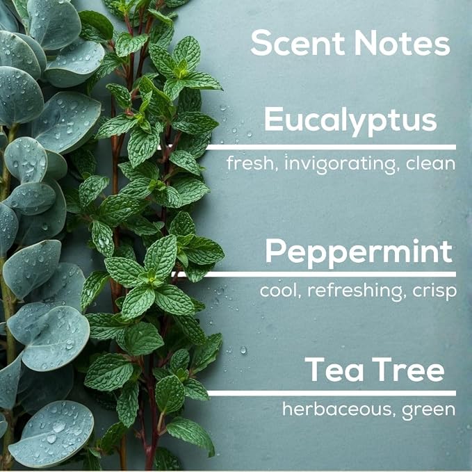 Scent Fill Eucalyptus Spearmint Plug in Air Freshener, Scented Oil Refills, 2 Refills + Diffuser