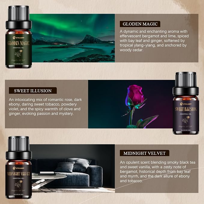 Hotel Collection Diffuser Oil, My Way, Dream State, Coastal Cabine, Inspired by The Most Popular 5-Star Hotel Scents, Fragrance Oil Set 6 * 10 ml