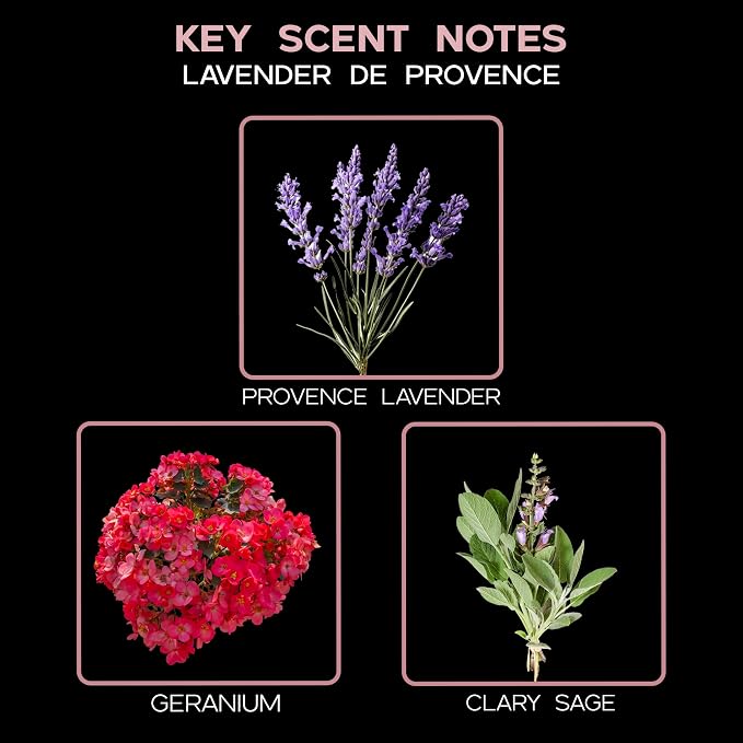 Lavender De Provence Reed Diffuser Set, Room Fragrance, Shelf Decor | French lavender, clary sage, and violet leaf profile, spa aroma, guest bathroom, decorative glass bottle, home scent