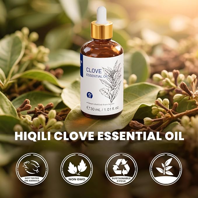 HIQILI 1 Fl Oz Clove Oil for Teeth and Gums, Oral Care, DIY Clean Spray, Aromatherapy - 30ml