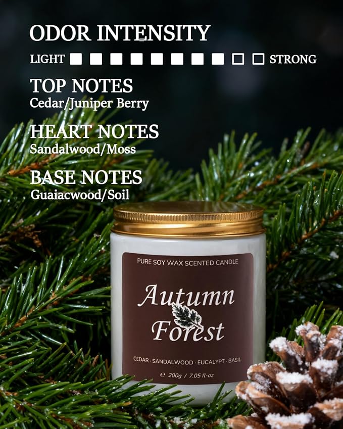 Aroma Gift for Women, Scented Candle for Home, Pine Autumn Forest 7.05 oz Soy Wax 40 Hour Burn Time, Long Lasting Jar Candle, Gifts for Christmas, Halloween, Mother's Day, Aromatherapy Candle