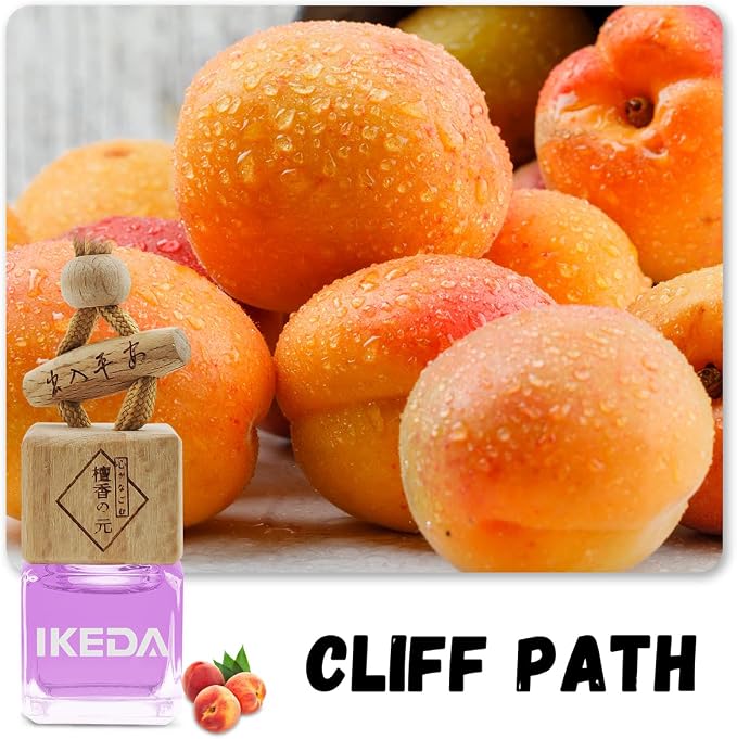 ikeda fragrance Car Air Freshener | Square Hanging Car Scent with Vent Clip Bottle | Long Lasting Fragrance | Essential Oil Diffuser | Odor Eliminator Deodorizer (Square-Peaches)