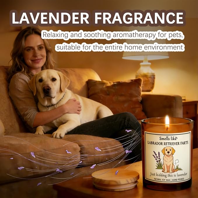 Labrador Retriever pet Owners & Dog Lovers - Dog Dad Gifts for Women, Labrador Retriever Farts Candle,Crafted by Natural Soy Wax Lavender Scented Candle