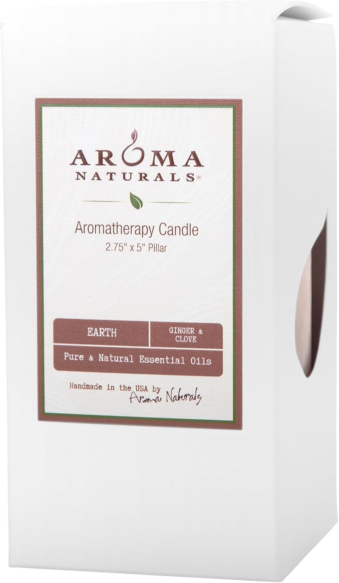 Aroma Naturals Ginger and Clove Essential Oil Beige Scented Pillar Candle, Earth, 2.75 inch x 5 inch