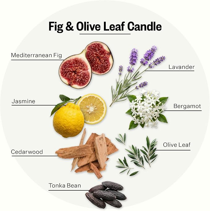 Apotheke Signature Scented Candles for Home, Fig and Olive Leaf