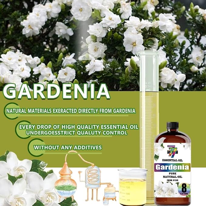 Gardenia Essential Oil, Gardenia Oils, for Diffuser, Humidifier, DIY Candles, Soap, Home, Office, Gift, Essential Oil, GV77ZF Gardenia Fragrance Oil - 8 fl oz (240 ml)