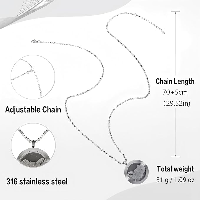 Aromatherapy Diffuser Necklace-Eagles Essential Oil Necklace,Aromatherapy Diffuser Pendant for Men and Women,Portable,Suitable for Yoga,Meditation,Travel,Stress Relief Gift(Silver 30mm)
