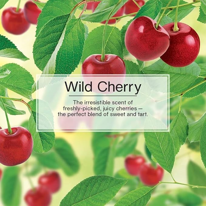 LITTLE TREES Car Air Freshener | Hanging Paper Tree for Home or Car | Wild Cherry | 4 Pack