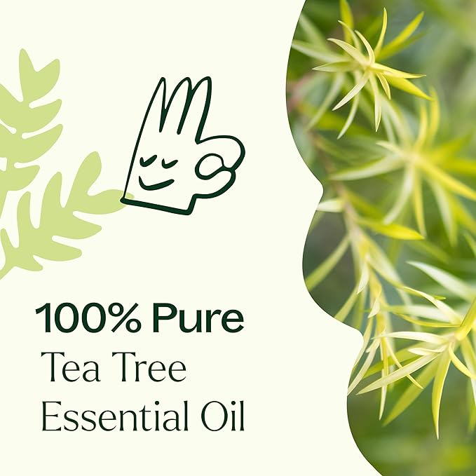 Plant Therapy Tea Tree Essential Oil, 100 mL (3.3 oz), Melaleuca alternifolia, 100% Pure and Undiluted, Natural Aromatherapy for Skin, Hair & Home