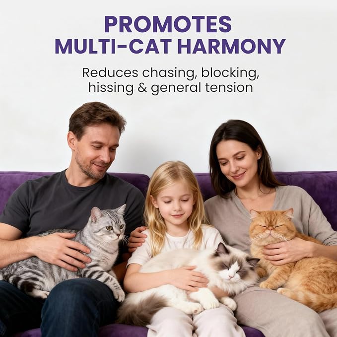 Cat Calming Diffuser for Cats - Pheromone Diffuser to Calm Cats - Multi‑Cat Starter Kit (1 Plug‑in + 48ml Refill) - Reduces Scratching, Meowing, Hiding, Urine Marking - Odorless | Stops spraying & scratching naturally, safe low-heat, no oily residue, w...