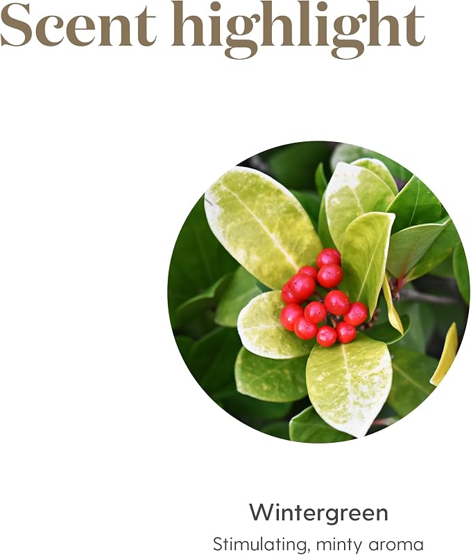 Young Living Wintergreen Premium Essential Oil | 15ml | Refreshing & Uplifting Aroma for Diffuser or Topical Use | Ideal for Massage & Home Aromatherapy | Premium Quality Oils