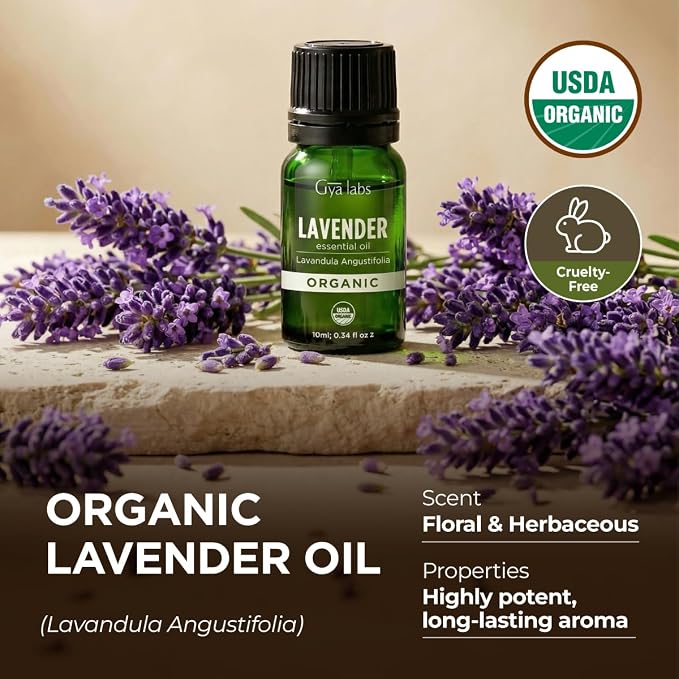 Gya Labs USDA Certified Organic Lavender Essential Oil for Relaxation & Rest - for Skin, Hair, Diffuser, Aromatherapy, DIY Candle Making Scents - 0.34 Fl Oz