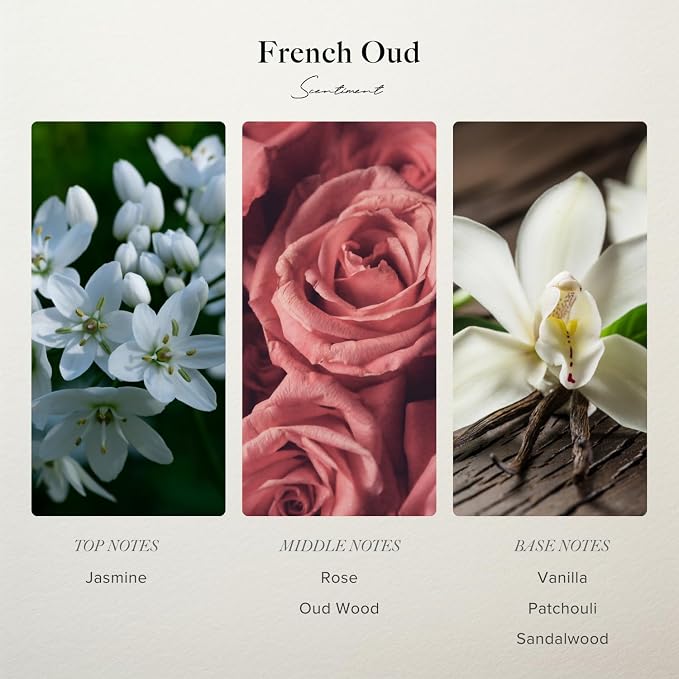 Scentiment French Oud Designer Collection Diffuser Oil – Jasmine, Rose, Oud Wood, Vanilla, Patchouli, Sandalwood Scent for Diffusers, Fragrance Oil – 0.68 fl oz (20 mL)