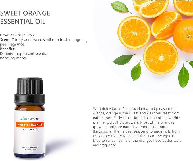 Citrus Essential Oil Set - Pack of 6, 10ml, Pure Therapeutic Grade Fruity Essential Oils includes Lemon, Grapefruit, Sweet Orange, Lime, Bergamot and Petitgrain