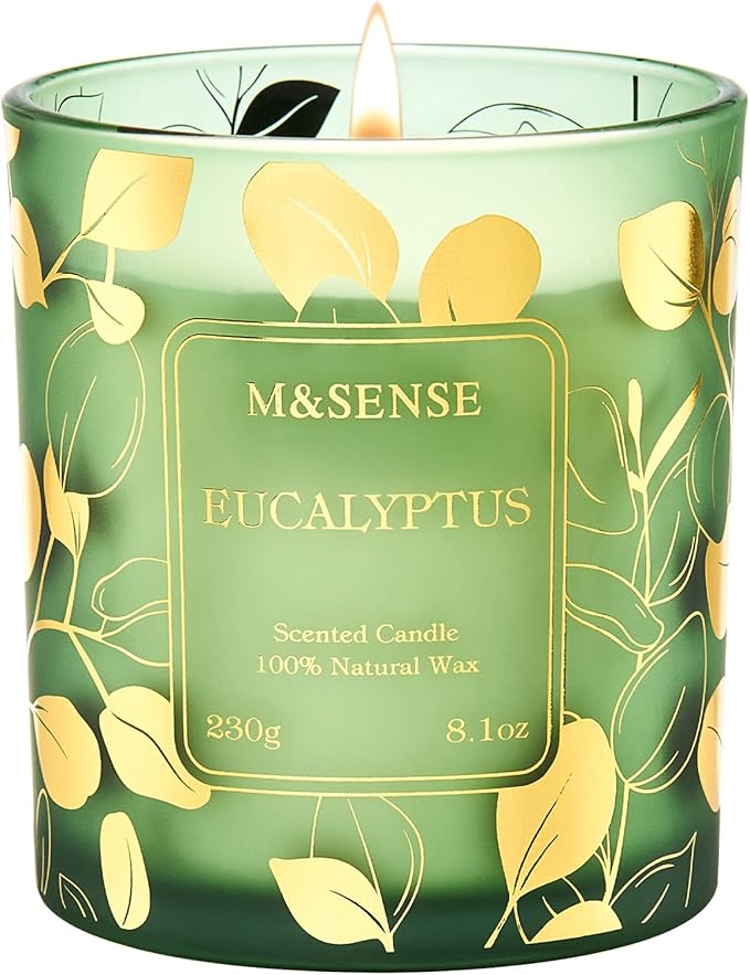 M&SENSE Eucalyptus Soy Candle, 8.1oz 42-Hour No Toxin Slow Burning, Cool Spa Aromatheraphy, Summer Shower Wellness Gift