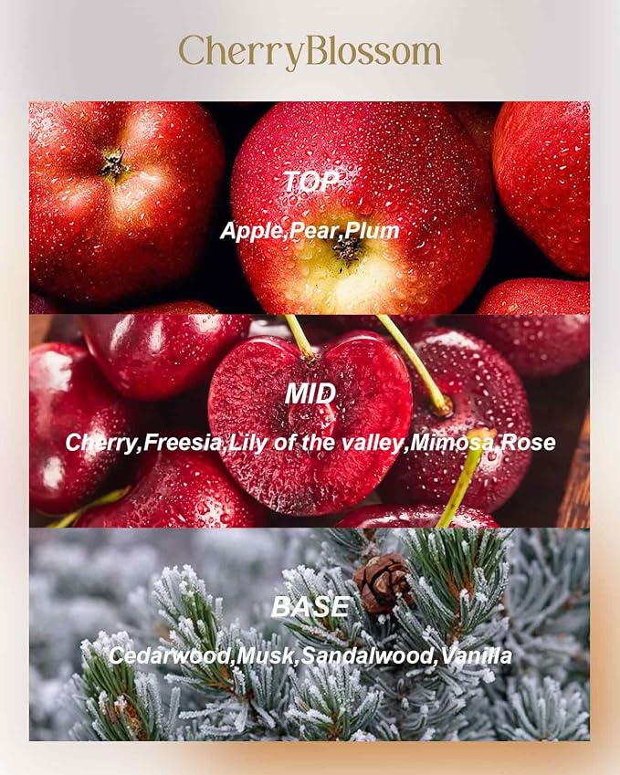 M&SENSE Cherry Blossom Scented Candles 12 oz, Large 3 Wick Soy Tin Candle, Over 40 Hour Burning Time, 100% Natural Vegan Wax, Relaxing Aromatherapy Aesthetic Candle Gift for Women and Men