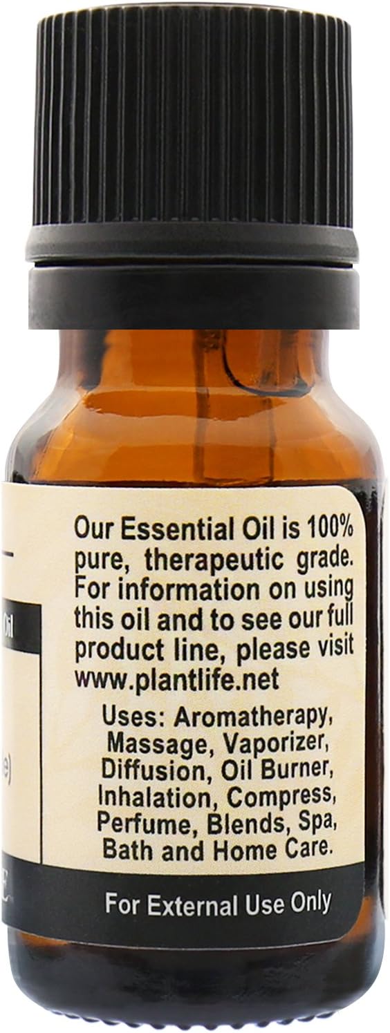 Plantlife Ginger Aromatherapy Essential Oil - Straight from The Plant 100% Pure Therapeutic Grade - No Additives or Fillers - 10 ml