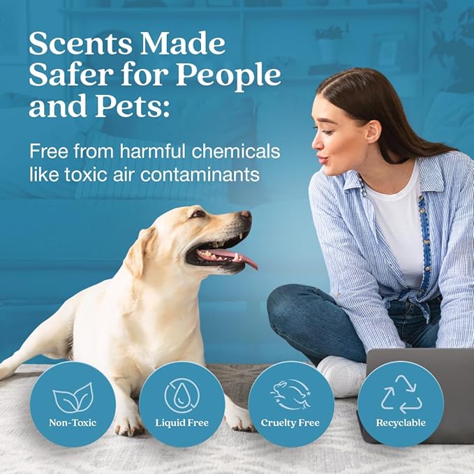 Enviroscent Non-Toxic Air Freshener Scent Stix™ & Stand Kit - Liquid-Free Diffuser Kit - Includes Mango Wood Stand & Scent Stix™ Refill - Fragrance Lasts Up to 30 Days - Rainwater & Bamboo