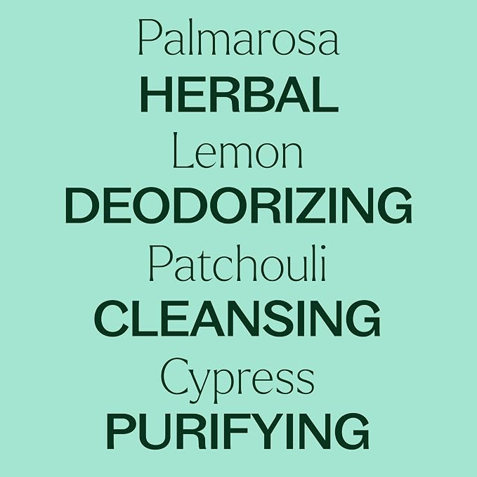 Plant Therapy Deodorizing Essential Oil Blend 30 mL (1 oz) 100% Pure, Undiluted, Therapeutic Grade