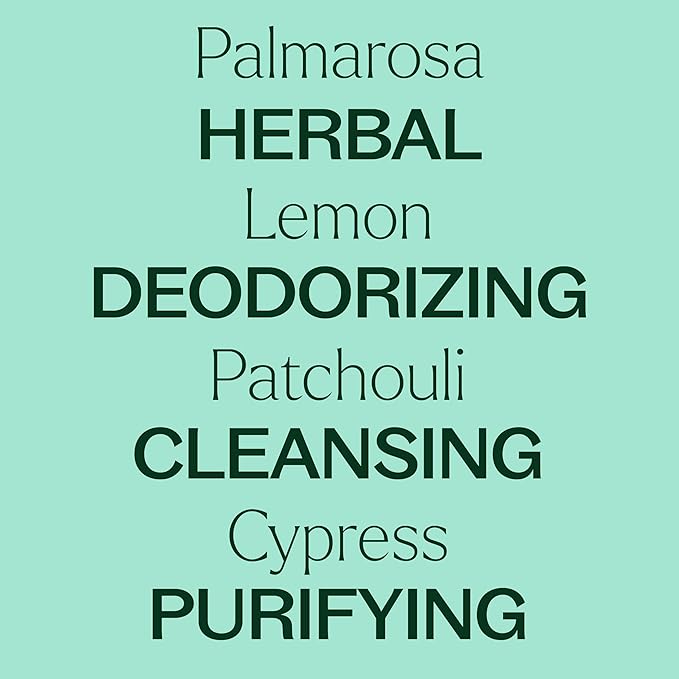 Plant Therapy Deodorizing Essential Oil Blend, 100 mL (3.3 oz), Made with 100% Pure Essential Oils, Undiluted, Perfect for Essential Oil Diffusers and Freshening A Room