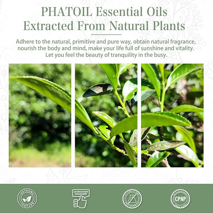 PHATOIL 1.01FL.Oz Tea Tree Essential Oil, for Aromatherapy Diffusers, Humidifiers, Great for DIY Candle and Soap Making, Gift for Friend(30ML)