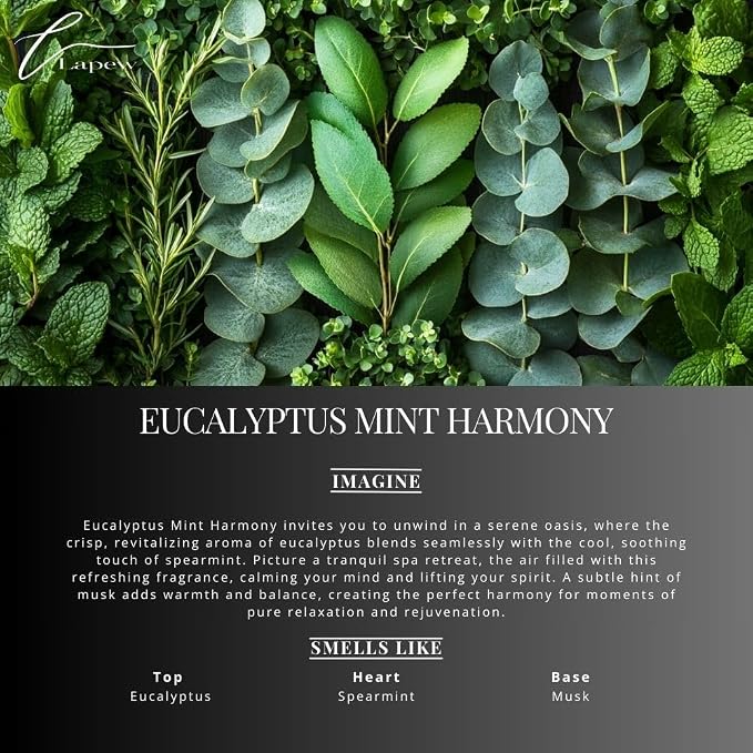 Lapew Eucalyptus Mint Harmony Waterless Diffuser Oil | Fragrance Oil for Nebulizer & Cold Air Diffusers | Scented Home Oil | 0.34 fl oz
