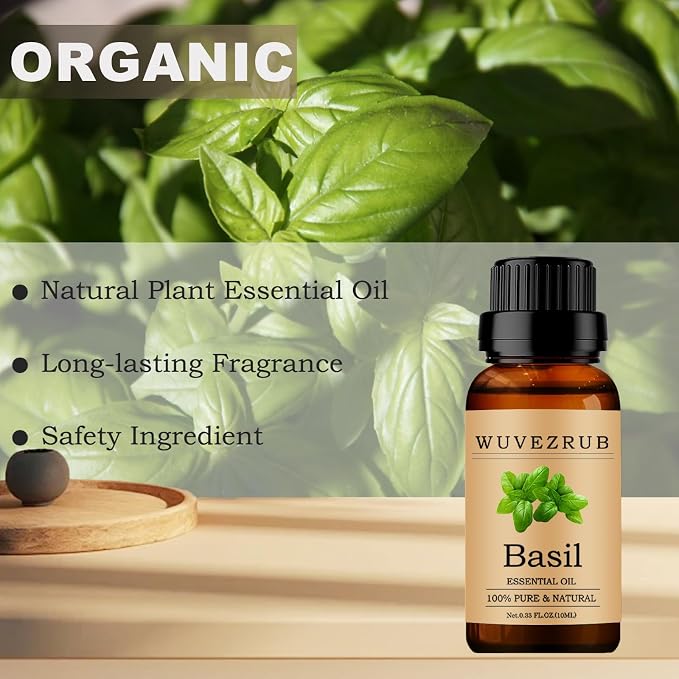 Basil Essential Oils 10ML, 100% Pure and Natural Essential Oil for Aromatherapy Diffuser - 0.33 Fl Oz/Basil