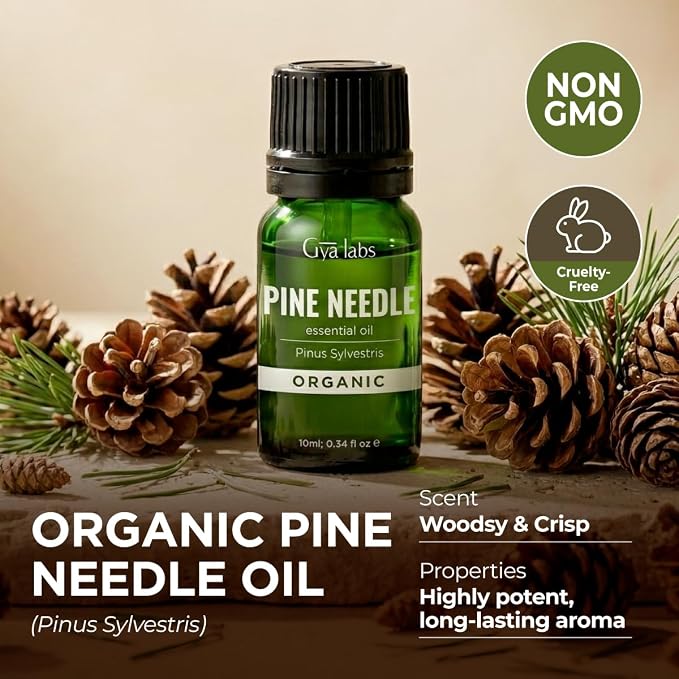 Gya Labs Organic Pine Needle Essential Oil - 0.34 Fl Oz - for Skin, Hair, Diffuser, Aromatherapy, DIY Candle Making Scents
