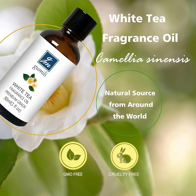 GM Gumili White Tea Fragrance Oil, Perfume Oil, Home Scent Oils for Soaps, Candle Making, Dryer Balls, Diffusers, Laundry, Slime -1 oz /30ml