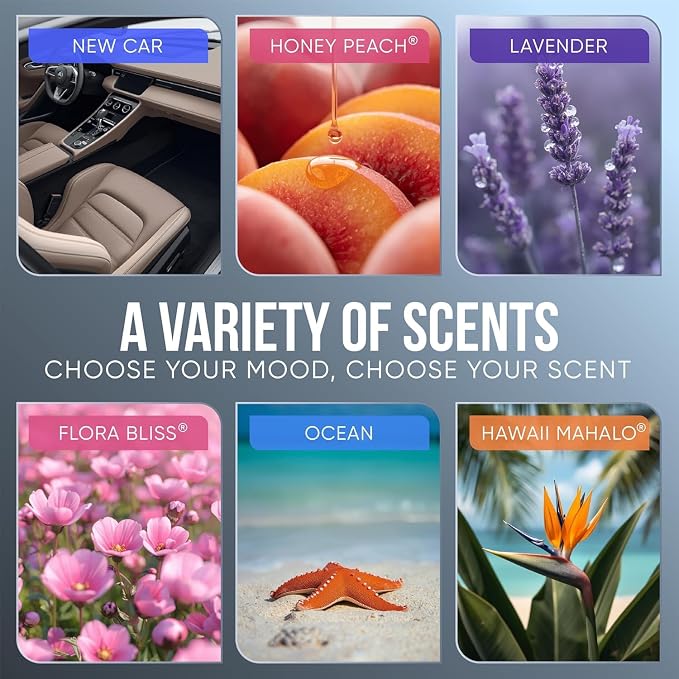 Air Jungles Car Air Freshener Vent Clip 4 Count, Variety Scent for Men and Women, Natural Fragrance with Essential Oil, Long-Lasting Car Odor Eliminator, Up to 120 Days