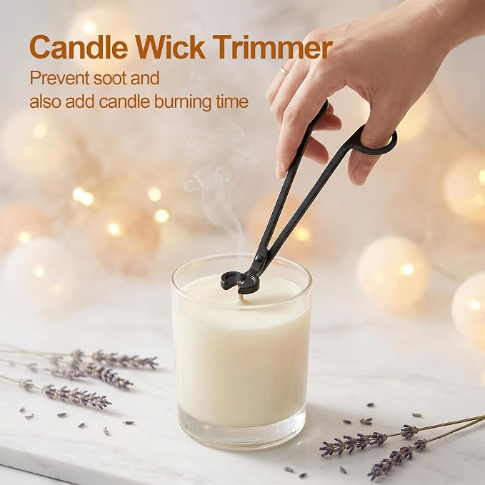 tifanso 4-in-1 Candle Care Kit with Wick Trimmer Cutter, Extinguisher Snuffer, Dipper and Storage Tray Plate, Stainless Steel Wick Scissors Accessories with Gift Package for Candle Lovers (Black)