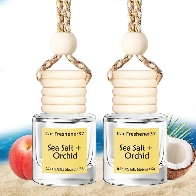 Hanging Car Air Freshener, Long Lasting Essential Oil Diffuser, Non-Toxic New Car Scent, Cute Car Fresheners for Women, 2 Pack Made in USA