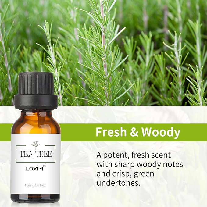 LOXIM Tea Tree Essential Oil, Pure Natural Essential Oils, Fragrance Oil Perfect for Humidifiers, Diffusers, Candle Making, Scent Home and Office (Pack of 1, Tea Tree)