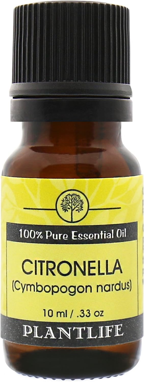Plantlife Citronella Aromatherapy Essential Oil - Straight from The Plant 100% Pure Therapeutic Grade - No Additives or Fillers - 10 ml