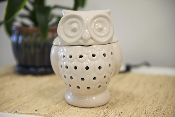 D'Eco Owl Fragrance Wax Melt Warmer - Electric Scented Tart & Candle Warmer w 4 Cinnamon Cubes - Plug-in Halogen Bulb Melts Wax Fills Room w Fresh Scent & Night Light Glow- Holiday Xmas Must Have Gift