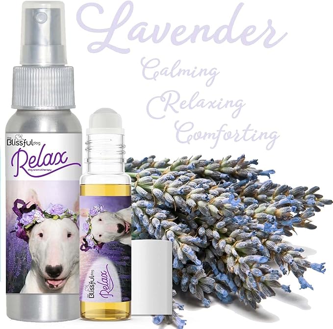 The Blissful Dog Bull Terrier Dog Relax Roll-ON Aromatherapy for Dogs - Anxiety Relief for Dogs