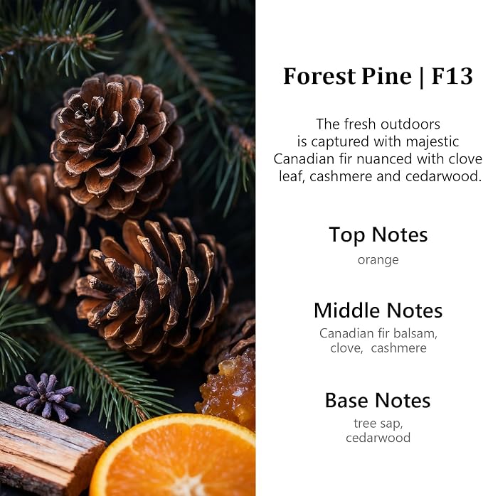 HoogaLife Car Air Freshener Diffuser 2 Pack Hanging Air Freshener Diffuser - Forest Pine Fragrance Oil Air D iffuser for Car, 45+ Days Long Lasting Fragrance Made in USA (F13)