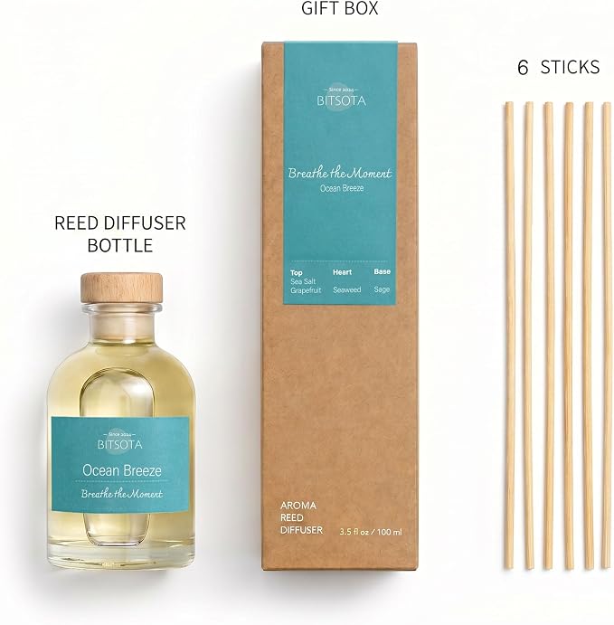 Natural Reed Diffuser Set, Ocean Breeze 3.52 oz (100ml) Scented Diffuser with Sticks Home Fragrance Reed Diffuser for Bathroom Shelf Decor, Ideal Gift for Woman