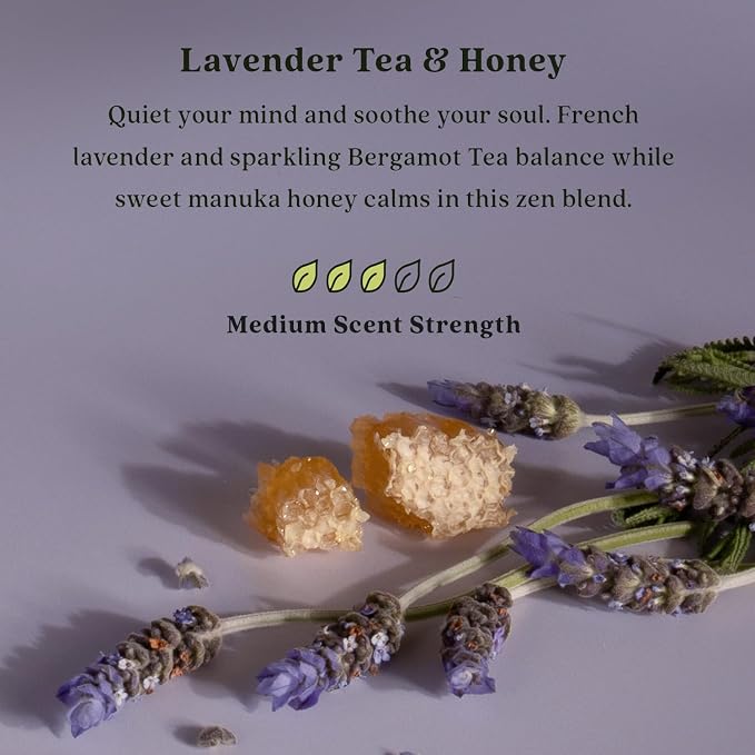 Enviroscent Non-Toxic Air Freshener Scent Stix™ Refills - Compatible with Enviroscent Scent Stix™ Liquid-Free Diffuser Kit - Fragrance Lasts Up to 60 Days - Lavender Tea & Honey (Pack of 2)