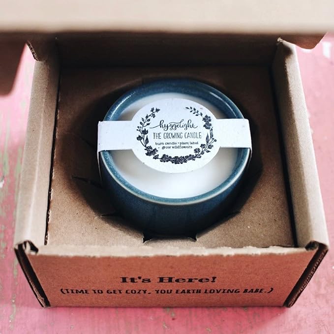 Hyggelight - The Growing Candle, Mint & Eucalyptus Scented, 8.5oz Ceramic Pot, Aromatherapy Candles, 100% Soy, Willow